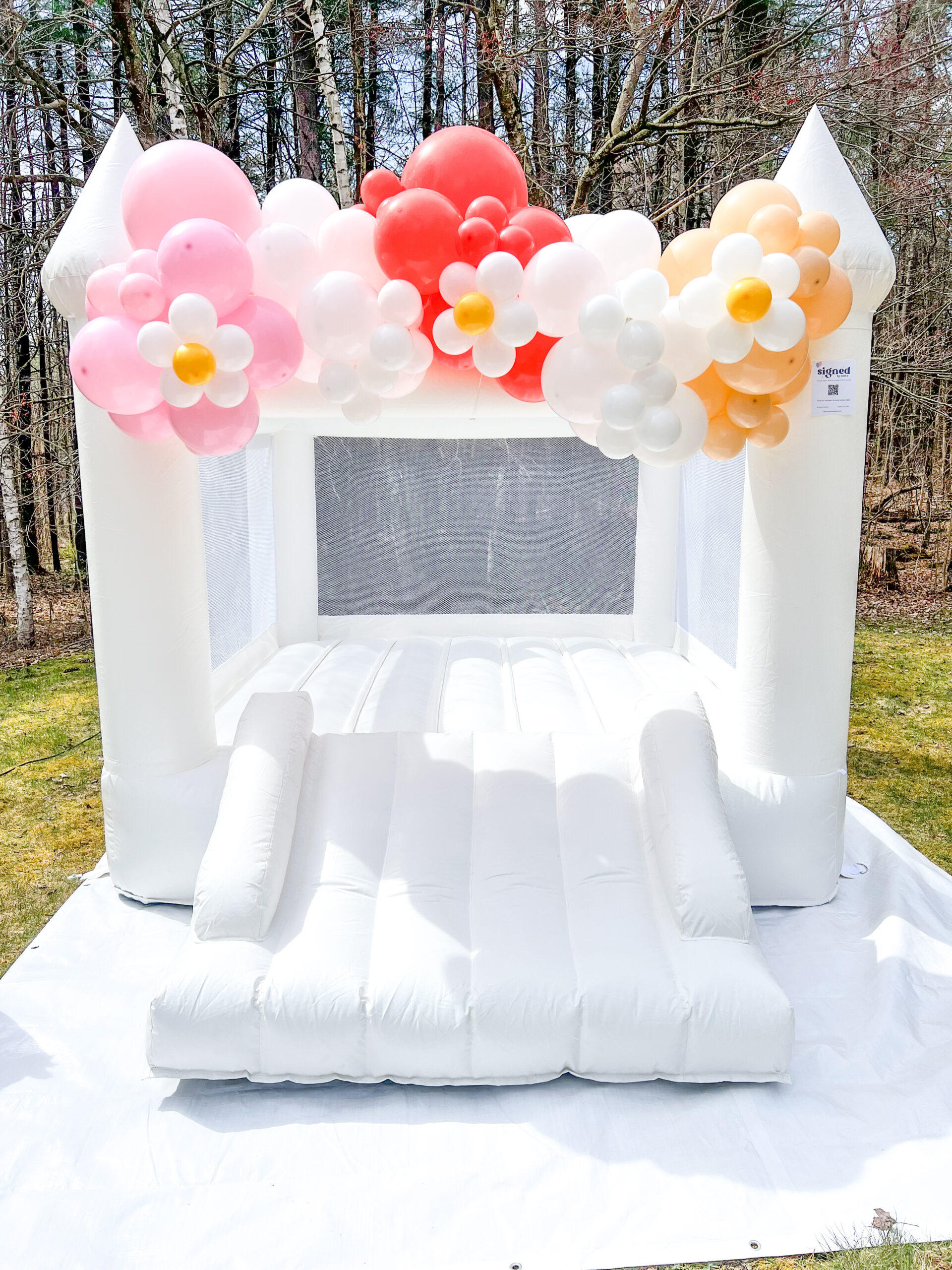 6ft Balloons